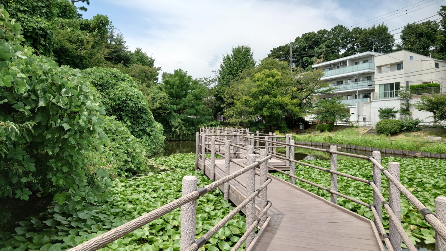 遊歩道からの風景