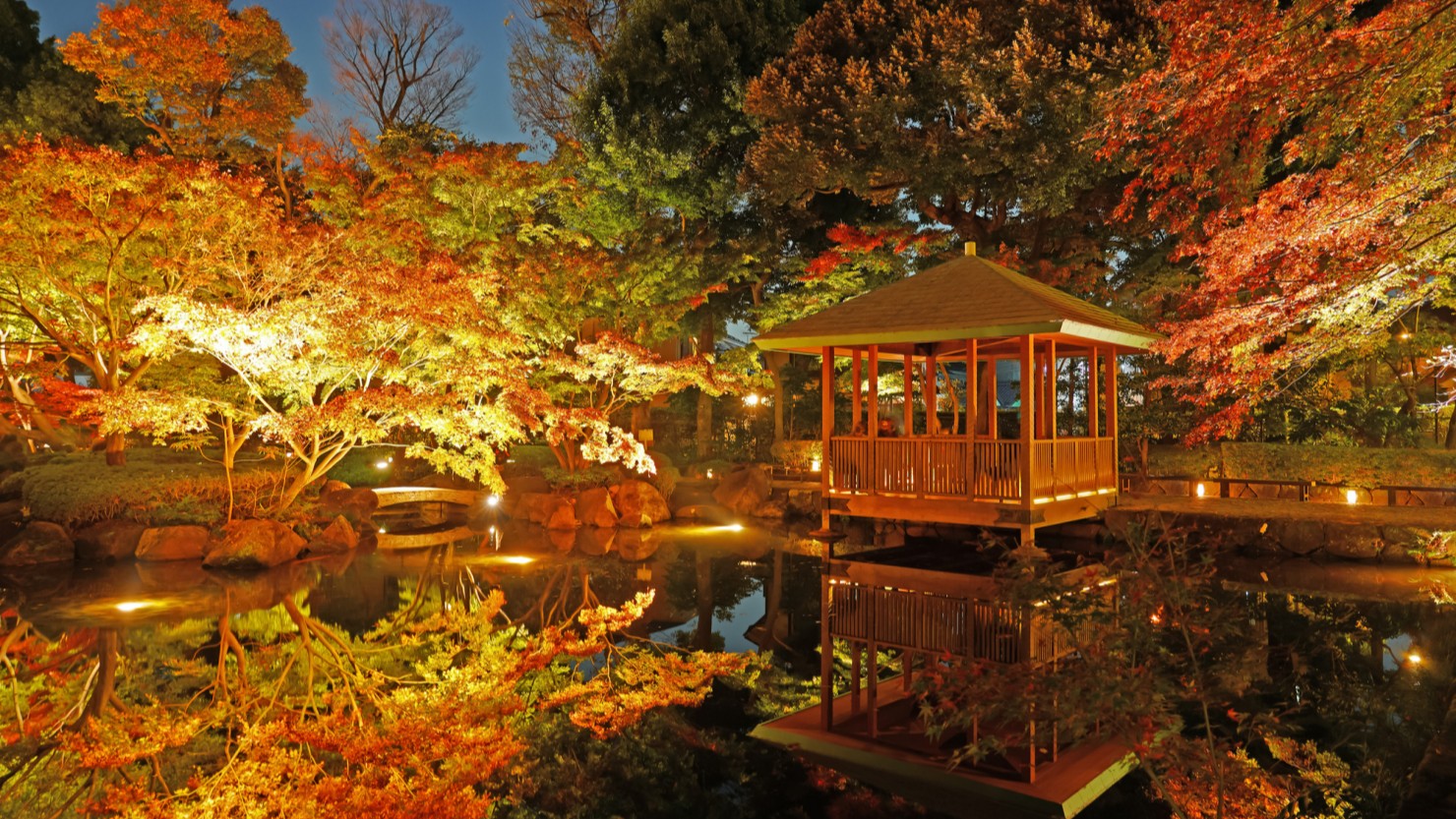 ライトアップされた大田黒公園の紅葉