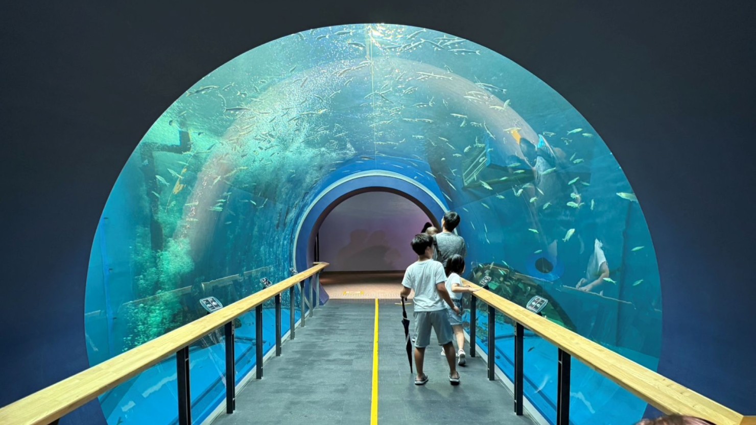 琵琶湖博物館　水族展示室入口