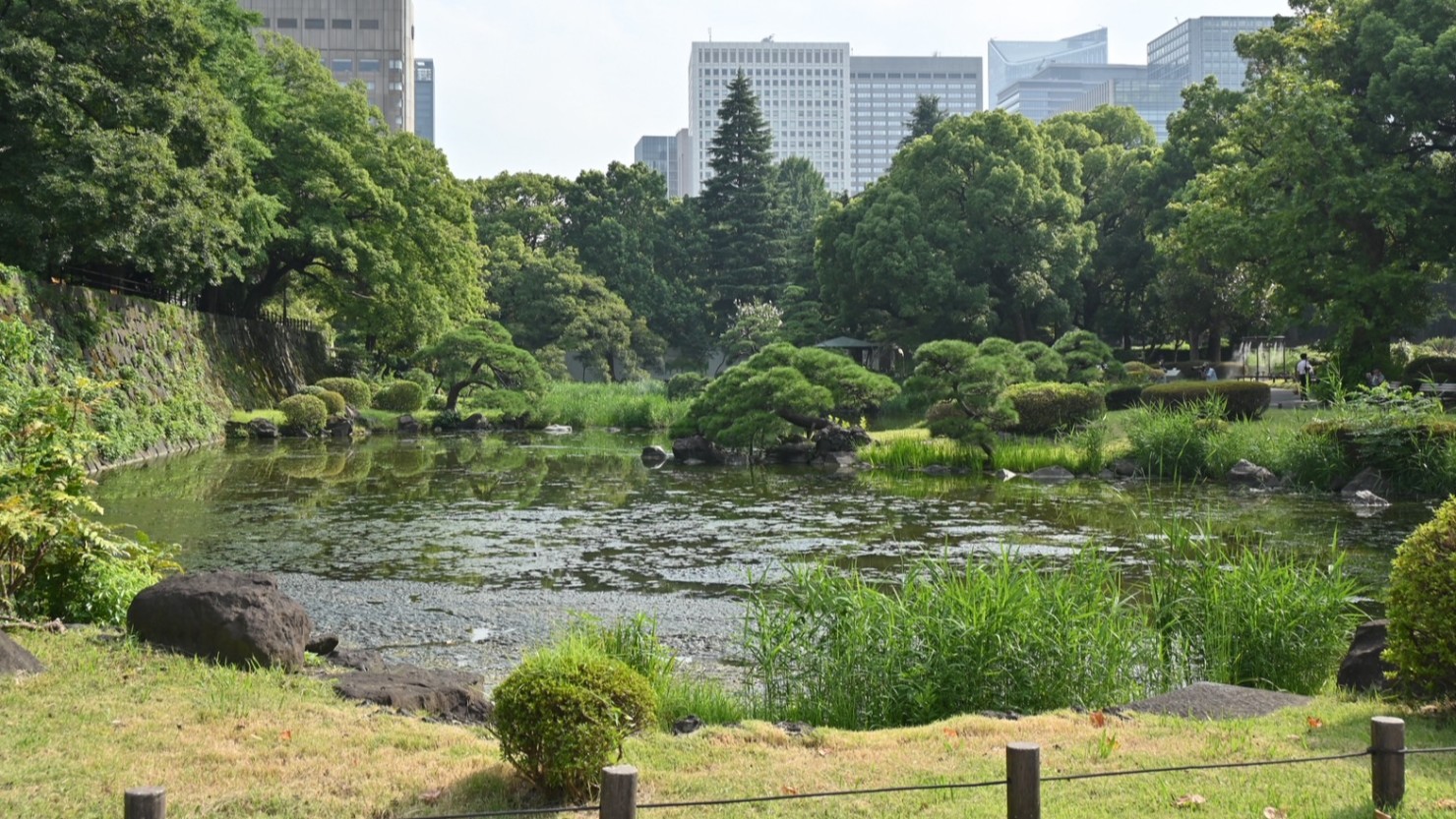 風情ある心字池