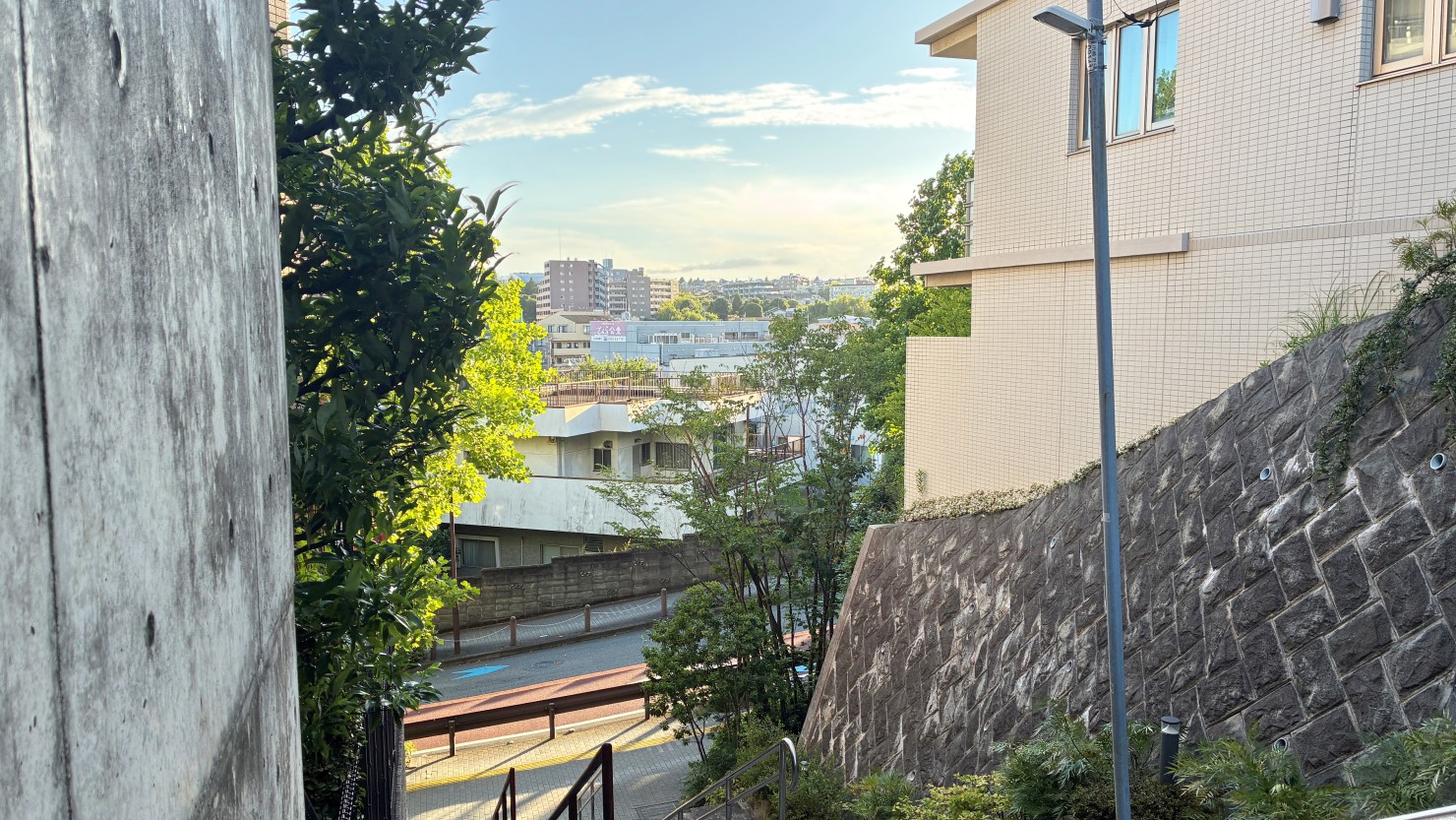 富士見坂近くの階段からの風景
