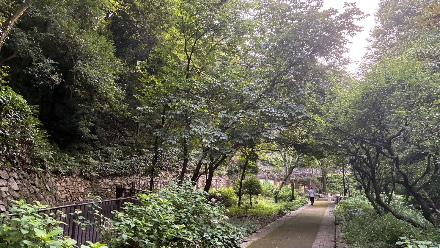 東高根森林公園の花木広場