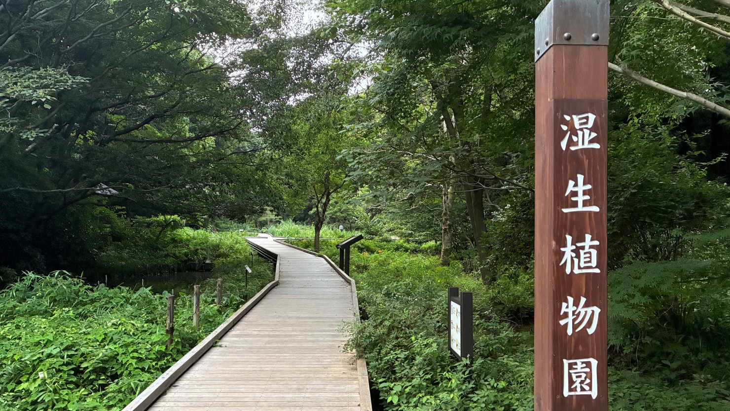 湿生植物園の入り口