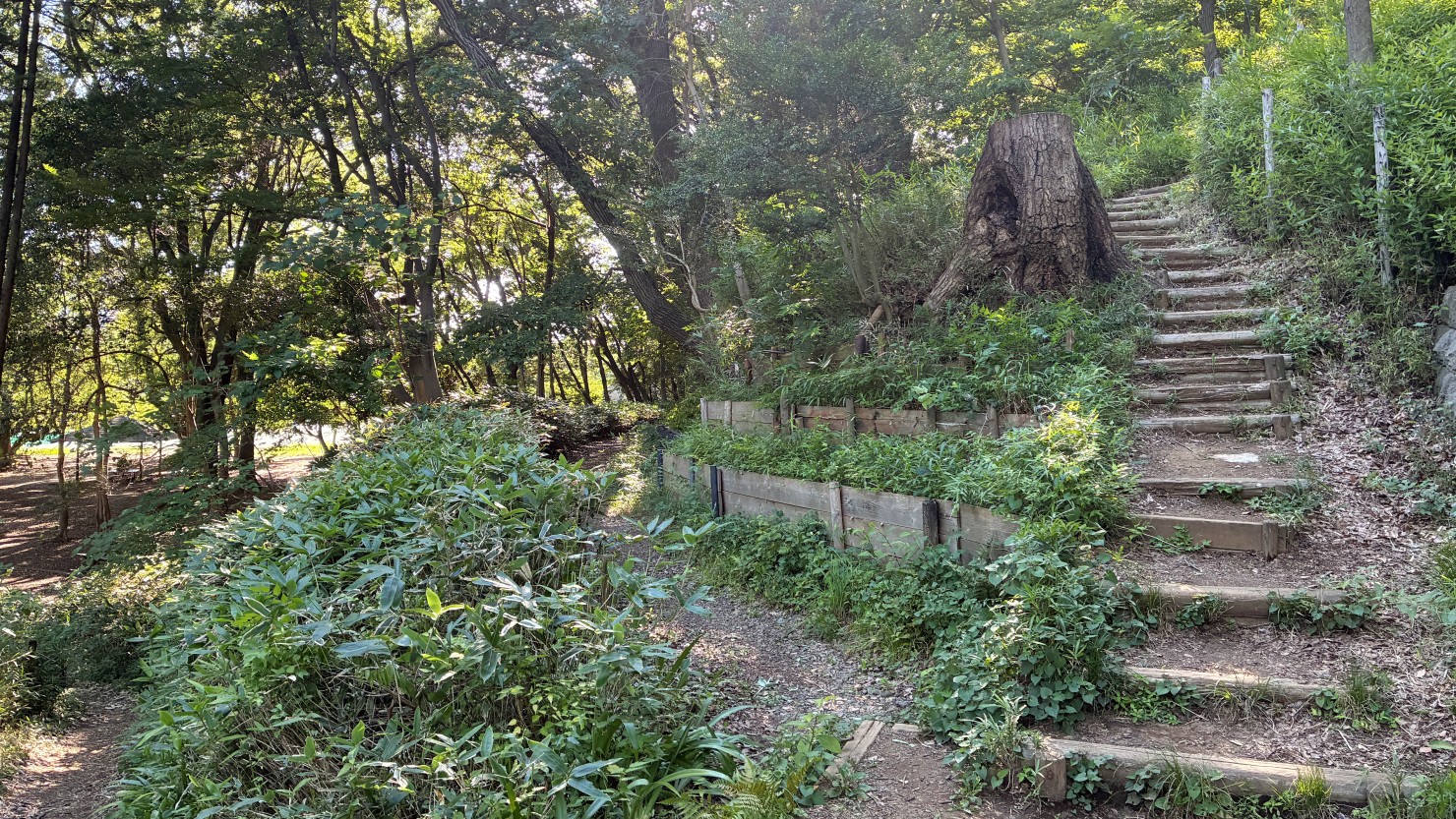 公園から高台にある宮前平こども文化センターへ続く小道