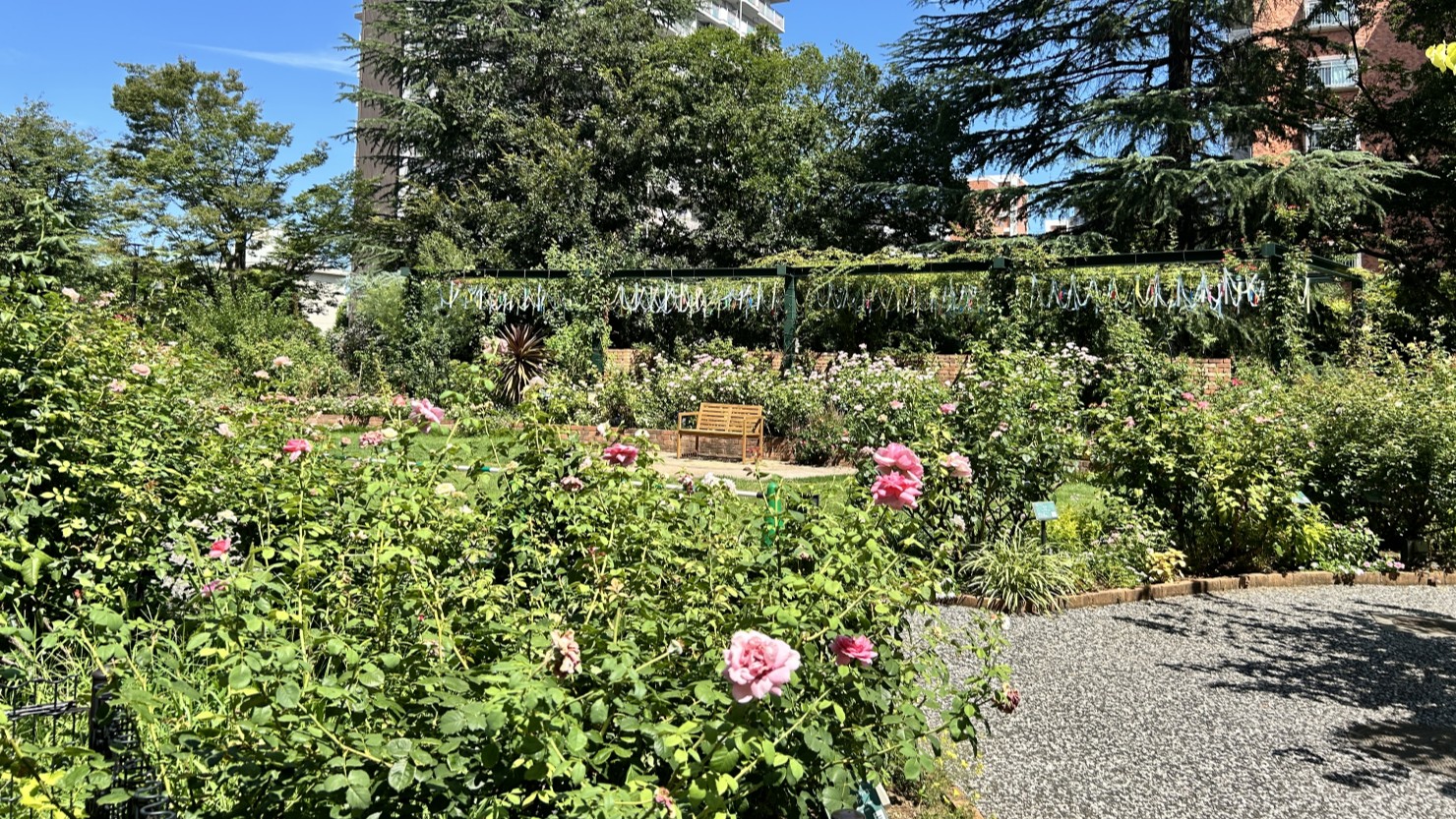 四季の香ローズガーデン「香りのローズガーデン」エリア。華やかな香りが広がる