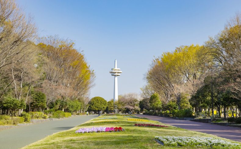 埼玉県「所沢市」の住みやすさを住民が紹介！自然と都市のバランスが魅力