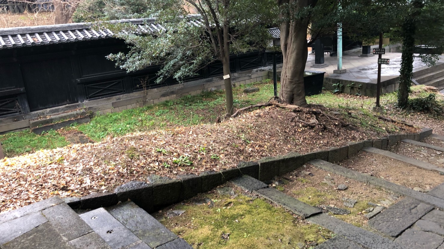 湯島聖堂入口に向かう石段。自然豊かな道中を楽しめる