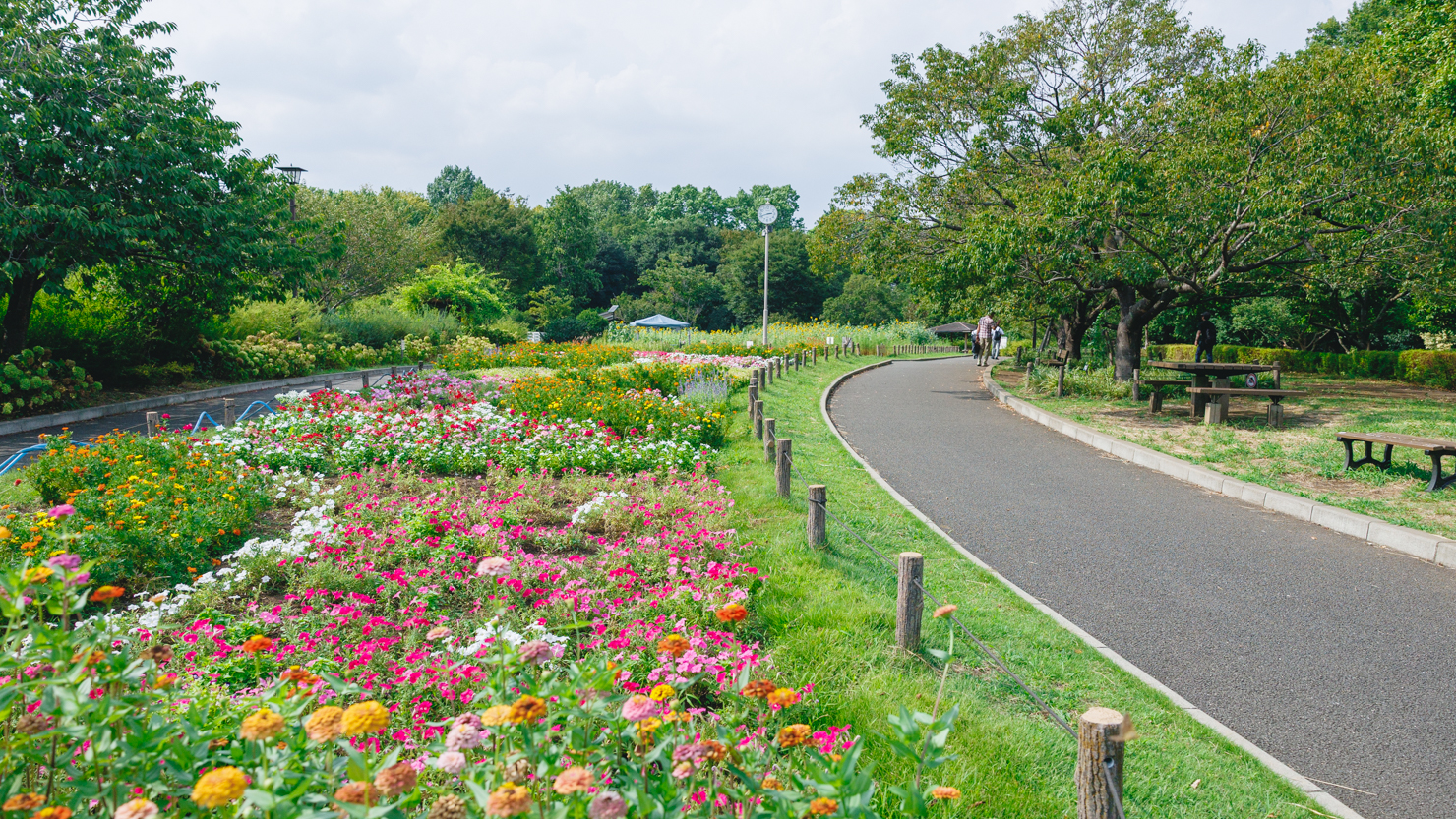少し足を延ばせば、文豪徳冨蘆花ゆかりの蘆花恒春園（770m・徒歩10分）にも行ける