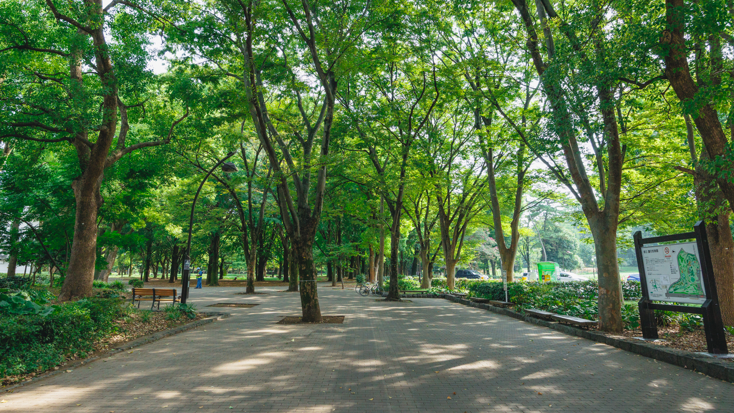 思わず深呼吸をしたくなるような、都会のオアシスといえる蘆花恒春園