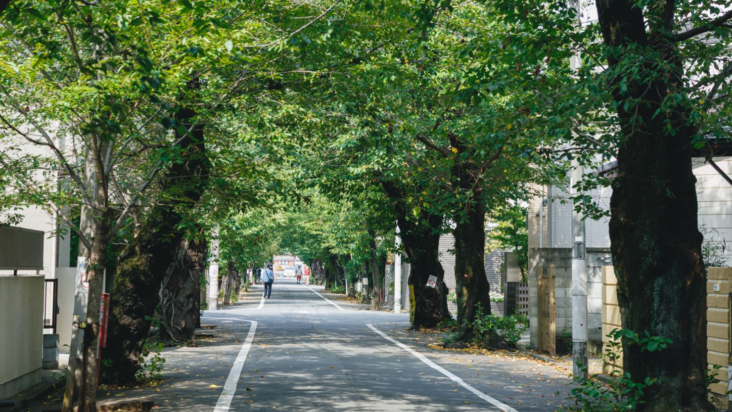 美しい緑に彩られた八幡山の閑静な住宅街