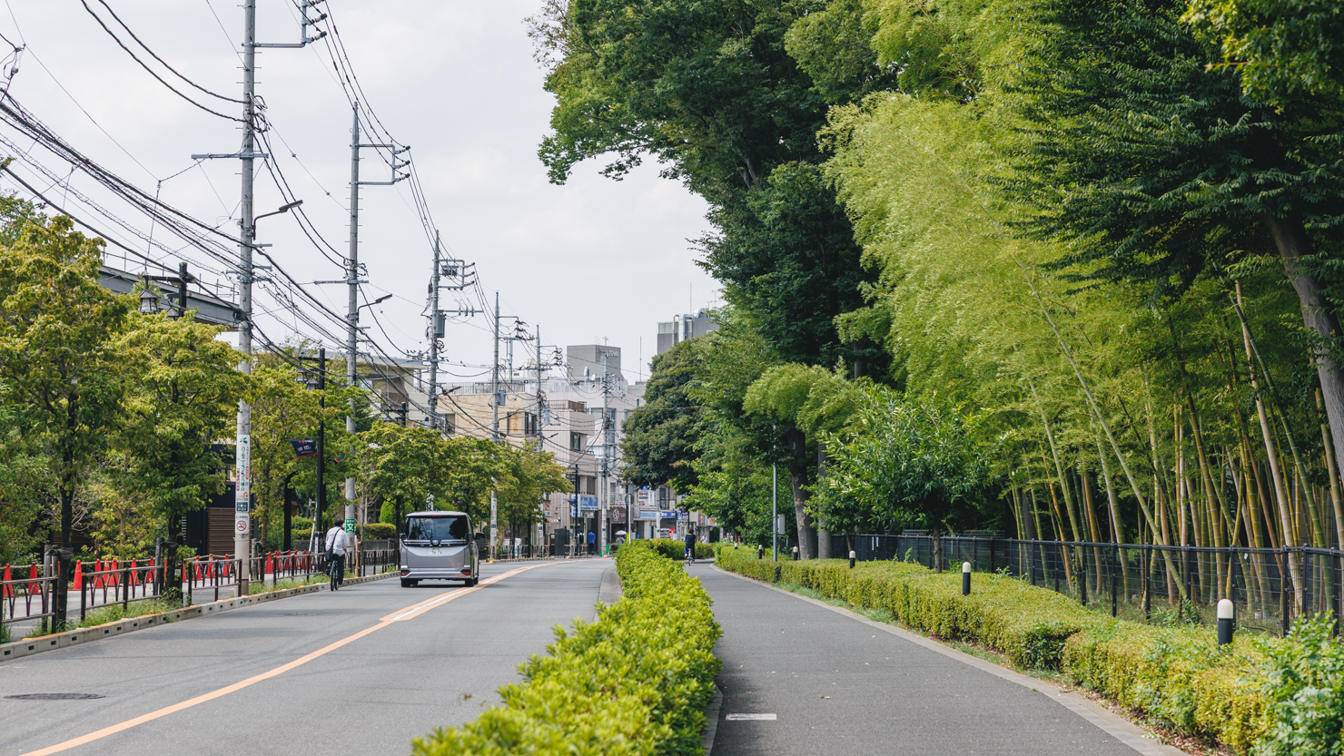 道を挟んだ反対側にもケヤキ並木や竹林が。日常的に緑が感じられる心身ともに癒やされる立地