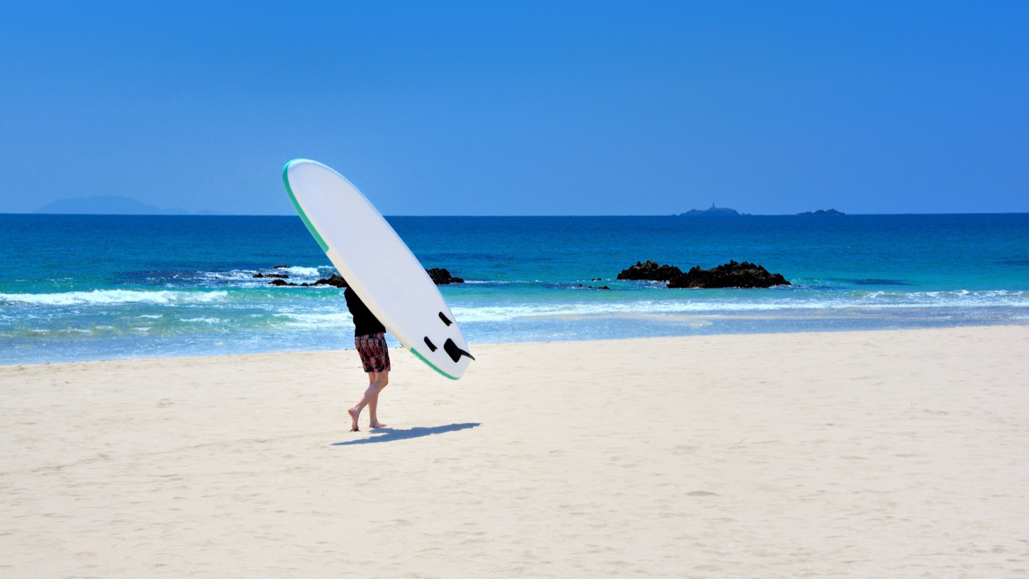 マリンスポーツを楽しめる伊豆エリア