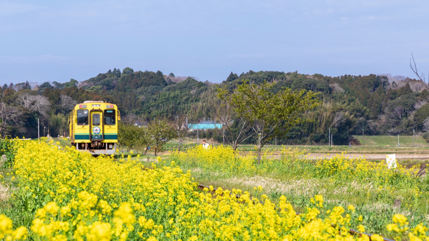 いすみ鉄道