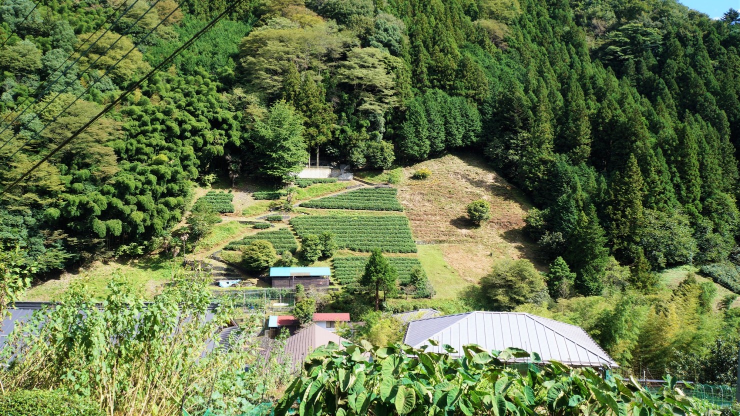 にほんの里100選・佐野川地区