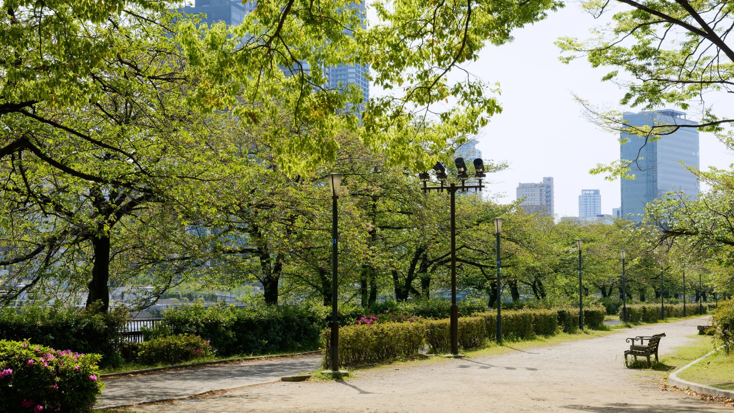 南天満公園の遊歩道の様子