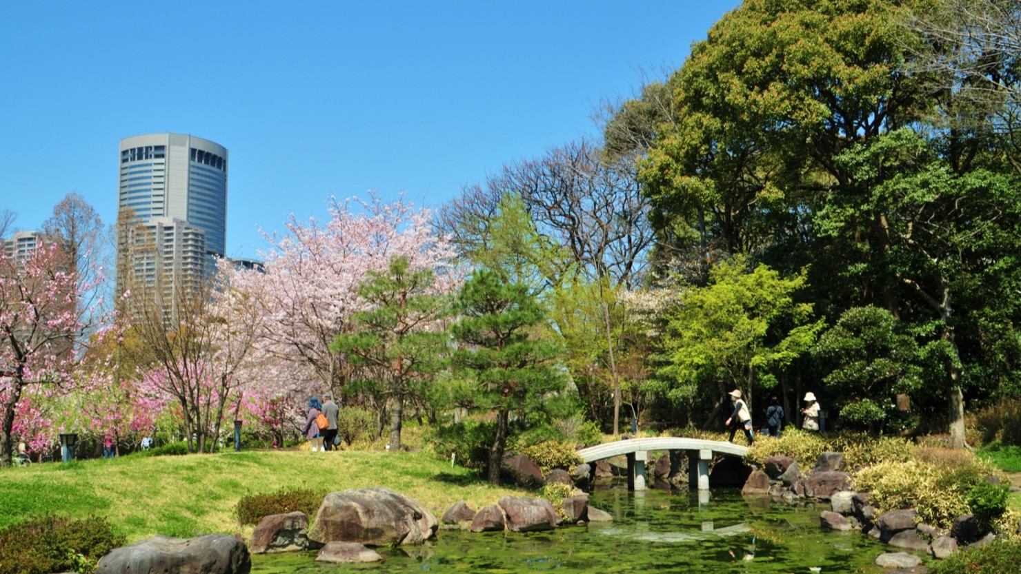 藤田邸跡公園の敷地内。春は桜や梅が綺麗に咲きます