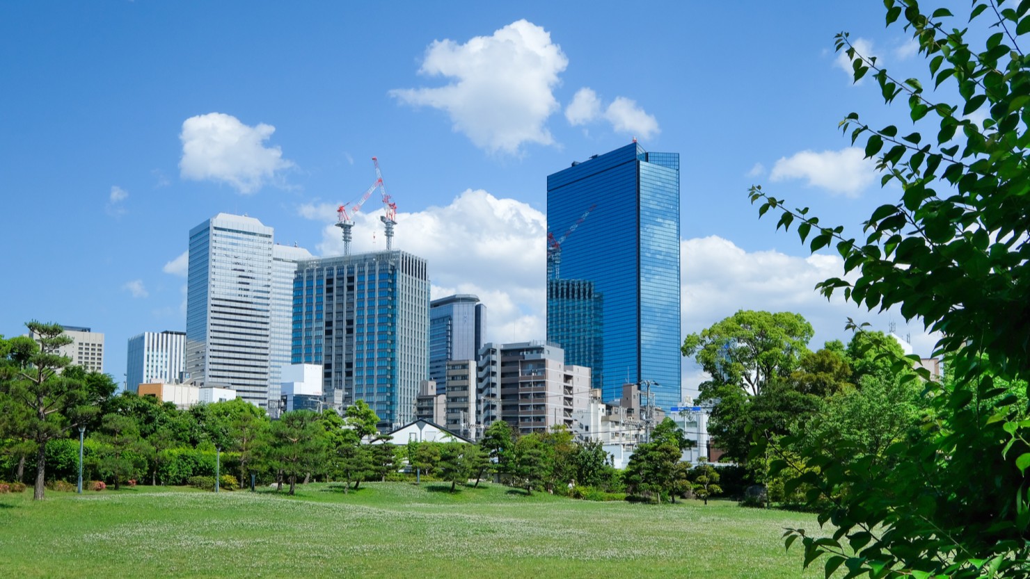 藤田邸跡公園の綺麗に手入れされた芝生。そこから見える高層ビルたち