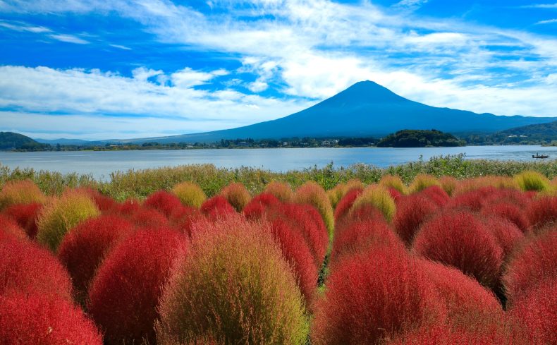【特集】甲信越エリアへの移住はどこがおすすめ？各地域の魅力を紹介