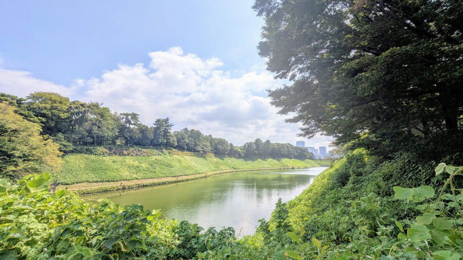 濠の向こうは皇居