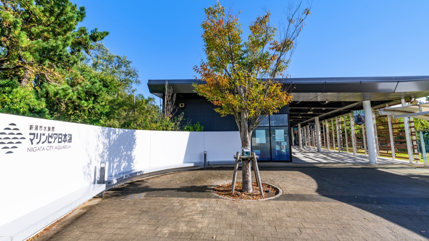 観察、体験、学習ができる水族館