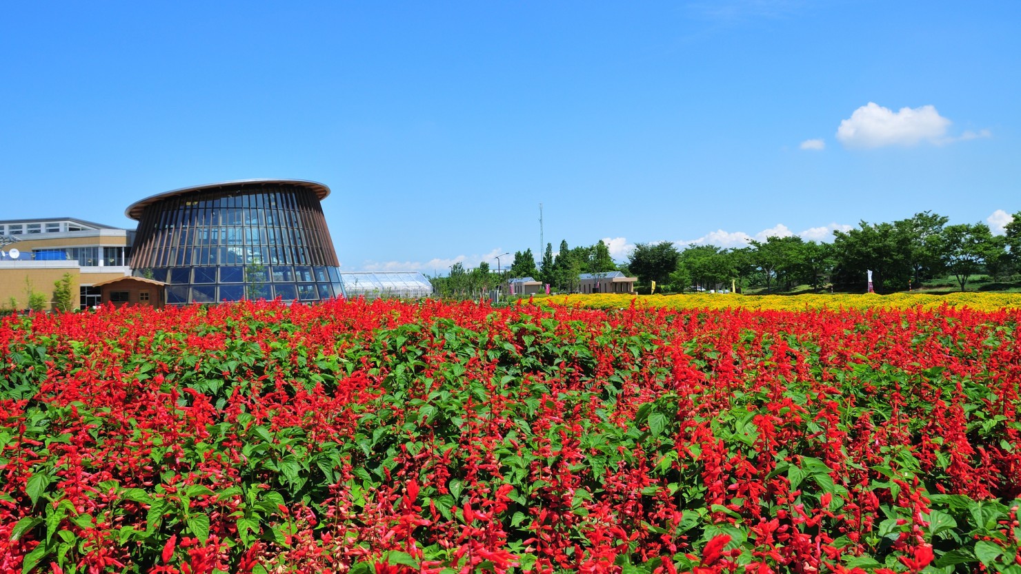 1ヶ所でさまざまな体験ができる「いくとぴあ食花」