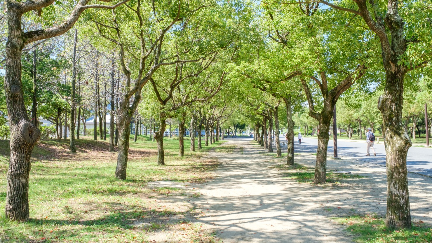 広大な敷地をもつ鶴見緑地