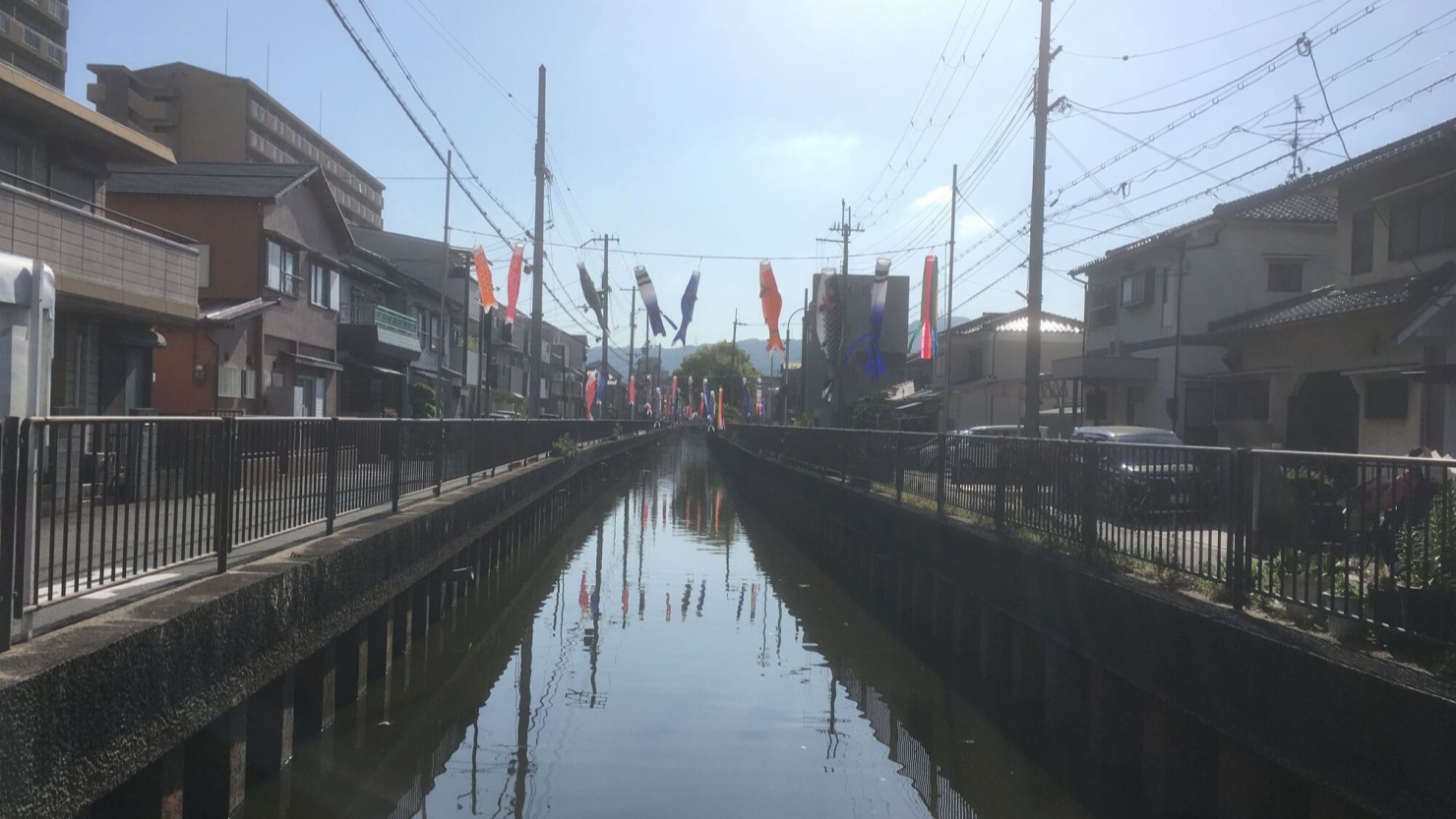 鴻池新田駅から南に約800m。地域を彩るこいのぼり