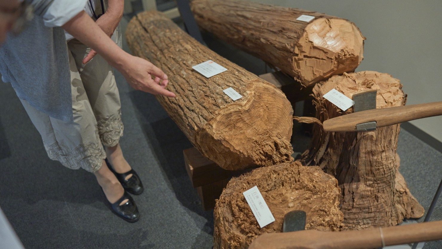 縄文時代の主な建材だったクリの木