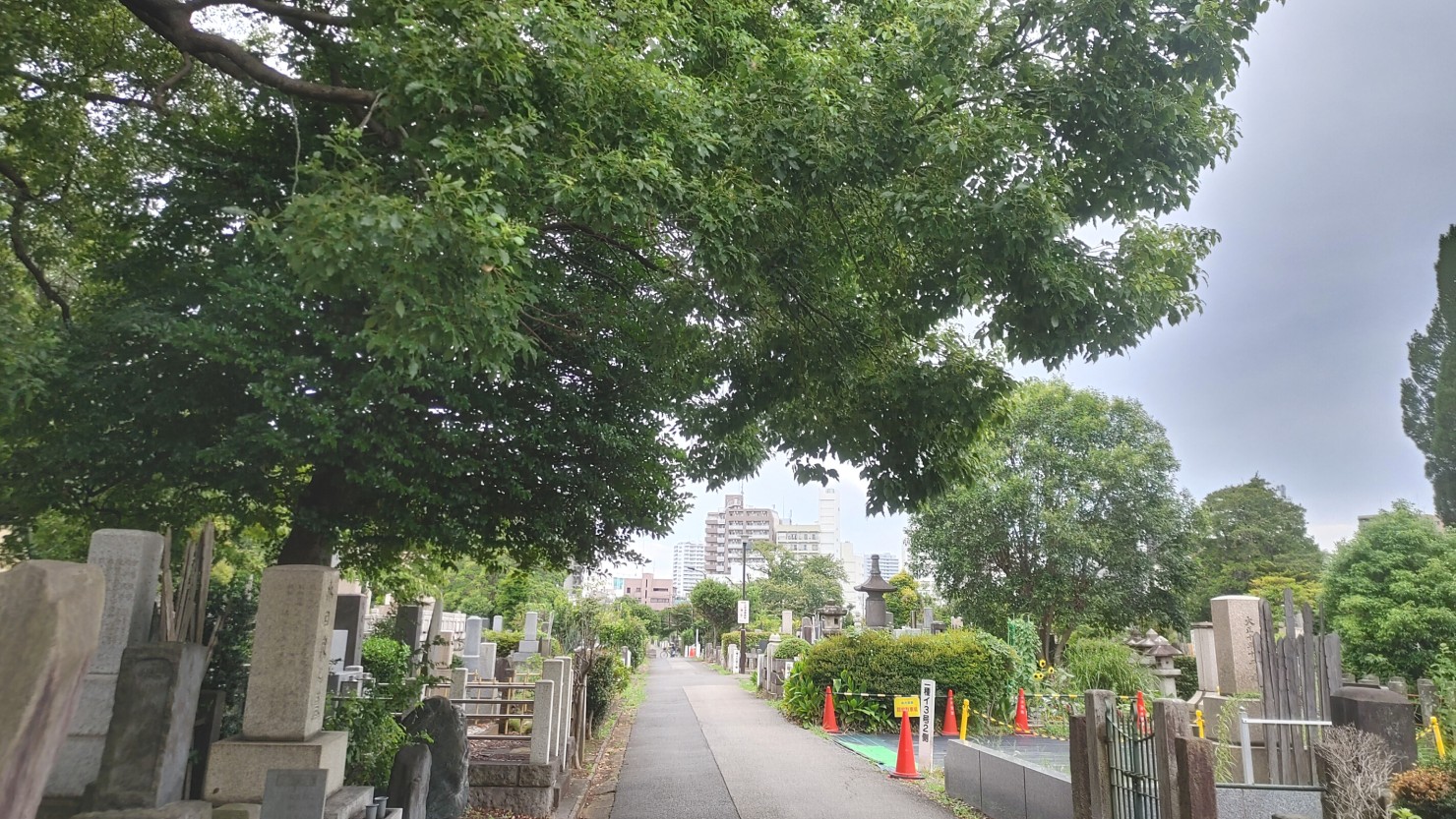 染井霊園