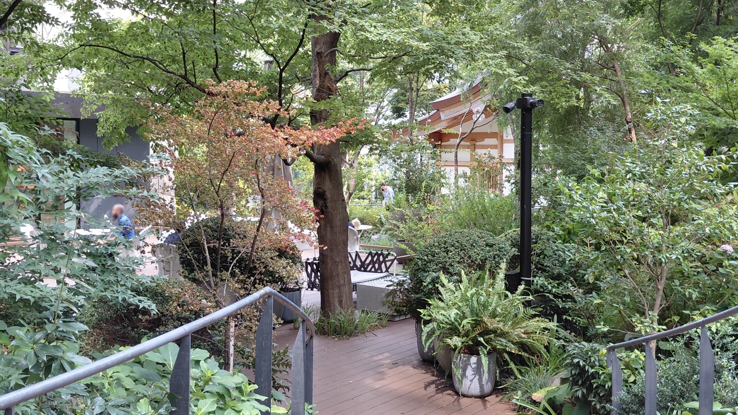 葺城（ふきしろ）の森