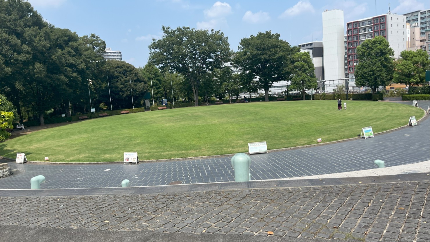 リリアパーク(川口西公園)の芝生は手入れが行き届いていて気持ちいい
