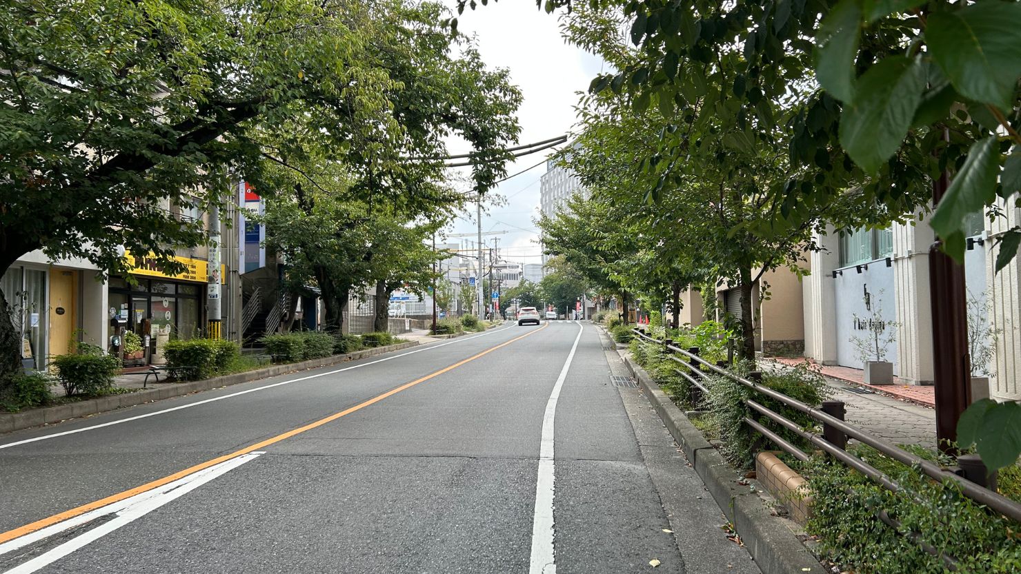 藤が丘駅へ続くメイン道の様子