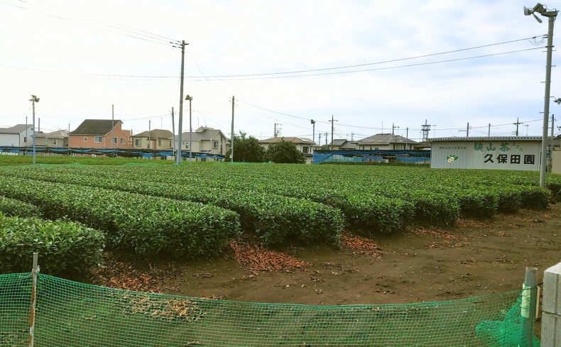 埼玉県「狭山市」の住みやすさは？13年住んでいて感じた魅力や住むのにおすすめのエリア