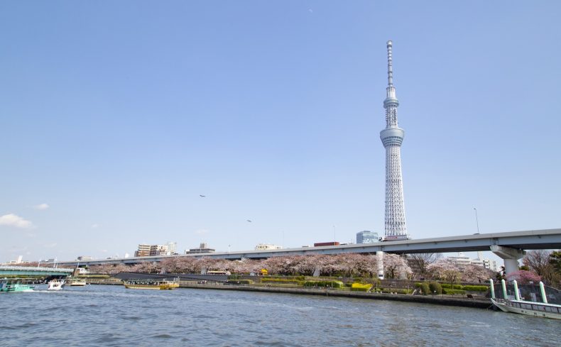 東京都墨田区での子育て体験談。子育て支援情報や子育てにおすすめのエリアを紹介