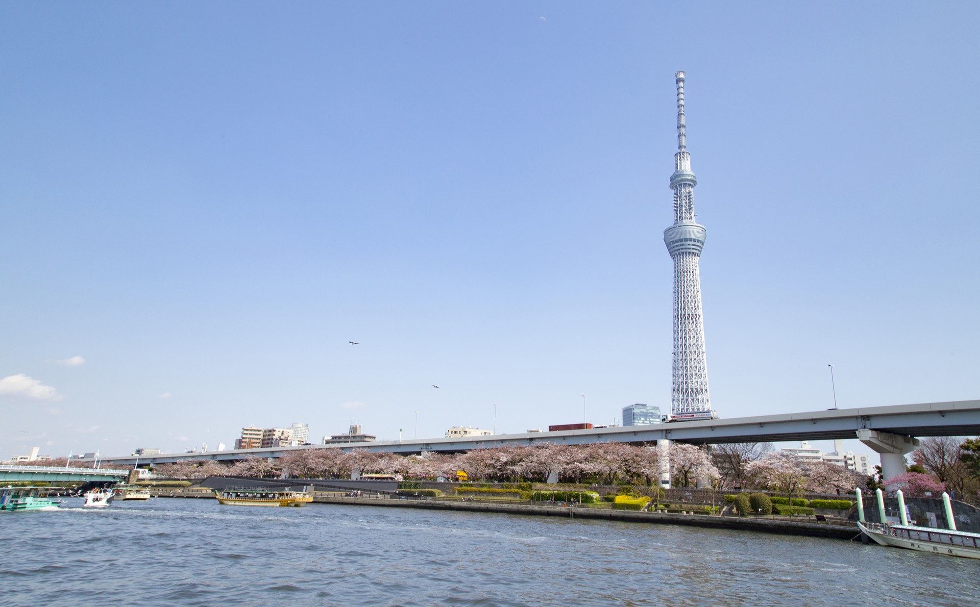 東京都墨田区での子育て体験談。子育て支援情報や子育てにおすすめのエリアを紹介