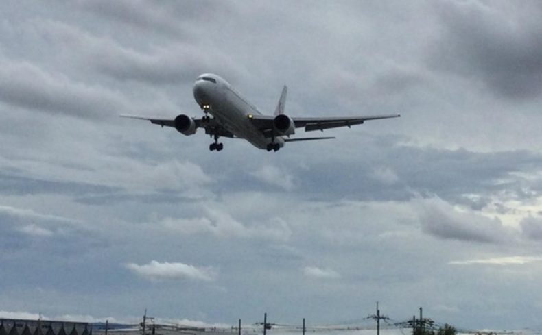 自然あふれる北摂エリアで注目の公園3選～オルタナの森 Minoh・ダムパークいばきた・豊中つばさ公園 『ma-zika』～