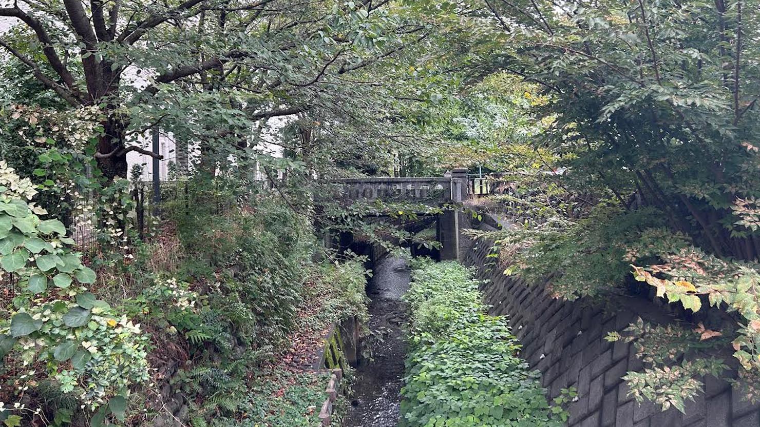 琴平橋から見える、緑に囲まれた新生橋