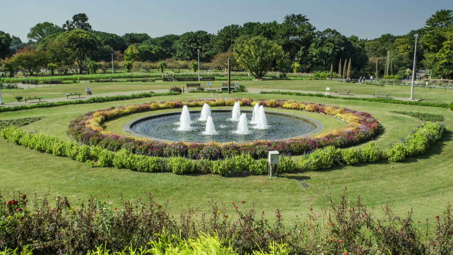 服部緑地にある花壇。季節の花が植えられて四季折々に違う姿を見せてくれる
