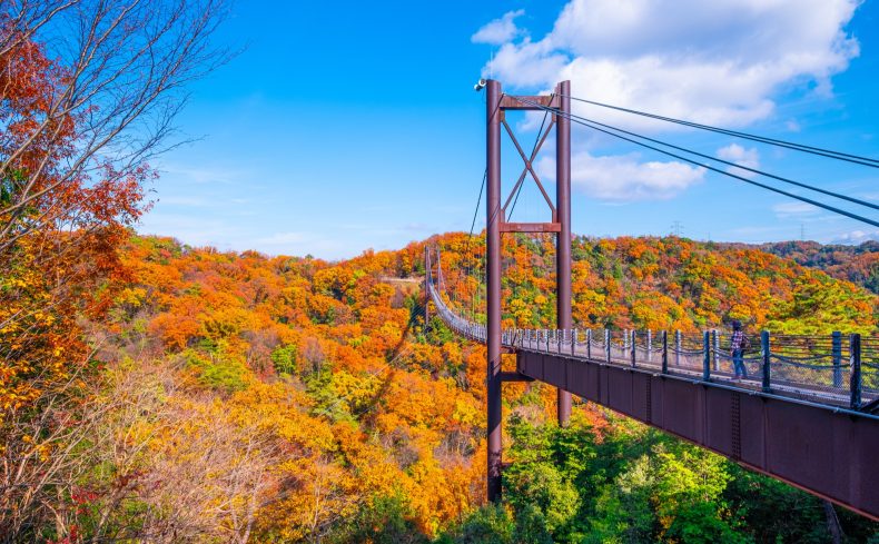 大阪府交野市の住みやすさは？アウトドアスポット満載の七夕のまち、交野市の魅力をご紹介