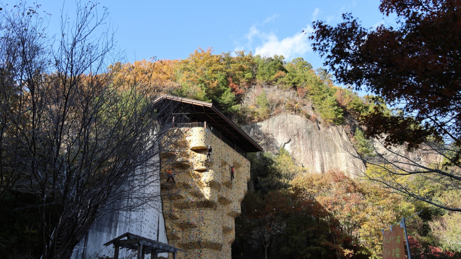大阪府民の森・ほしだの森のクライミングウォール