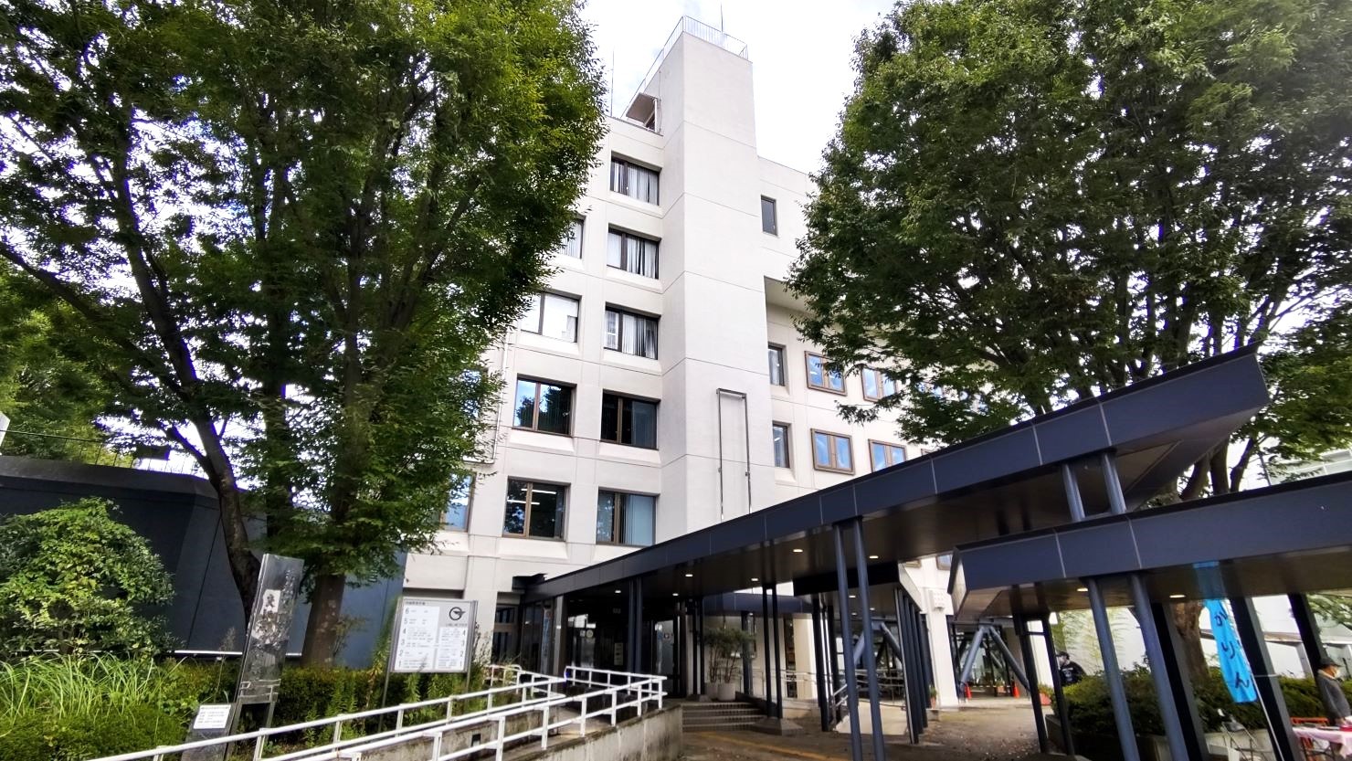 ケヤキに囲まれた東村山市役所　© 西城博人