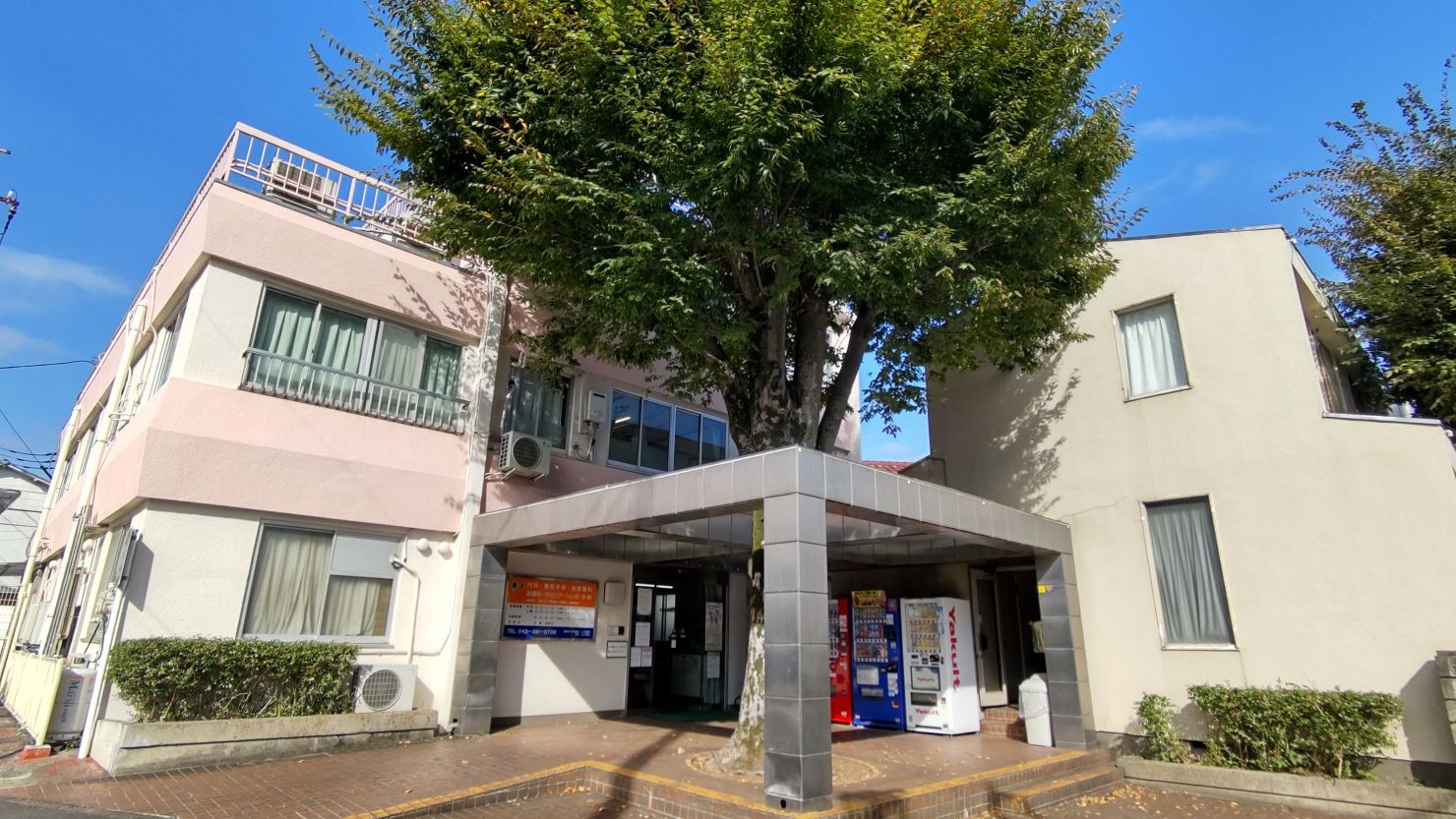 大きなケヤキが印象的な「山本病院」　© 小森正弘