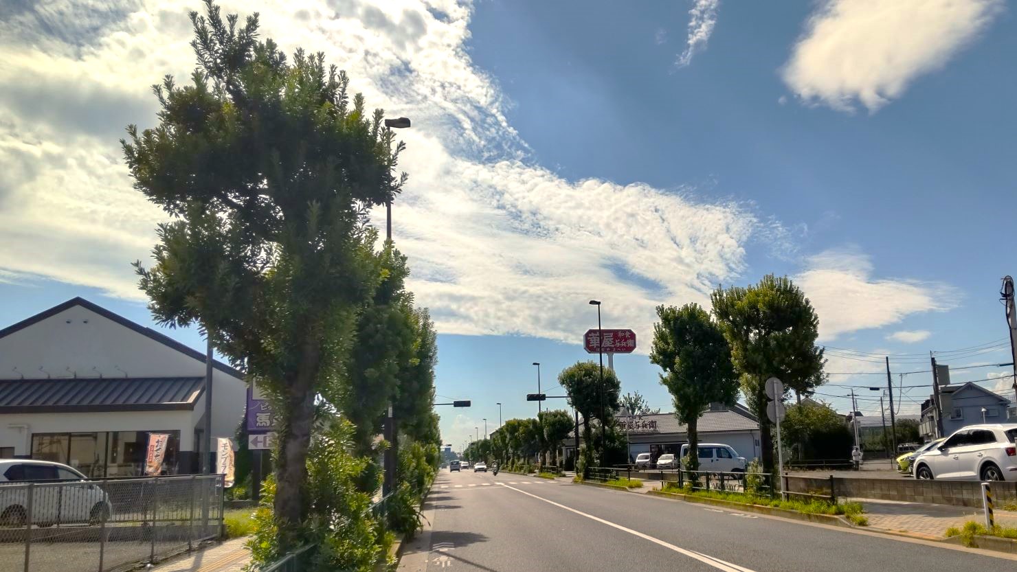 駅東西に広がる並木道　© 泉哲也