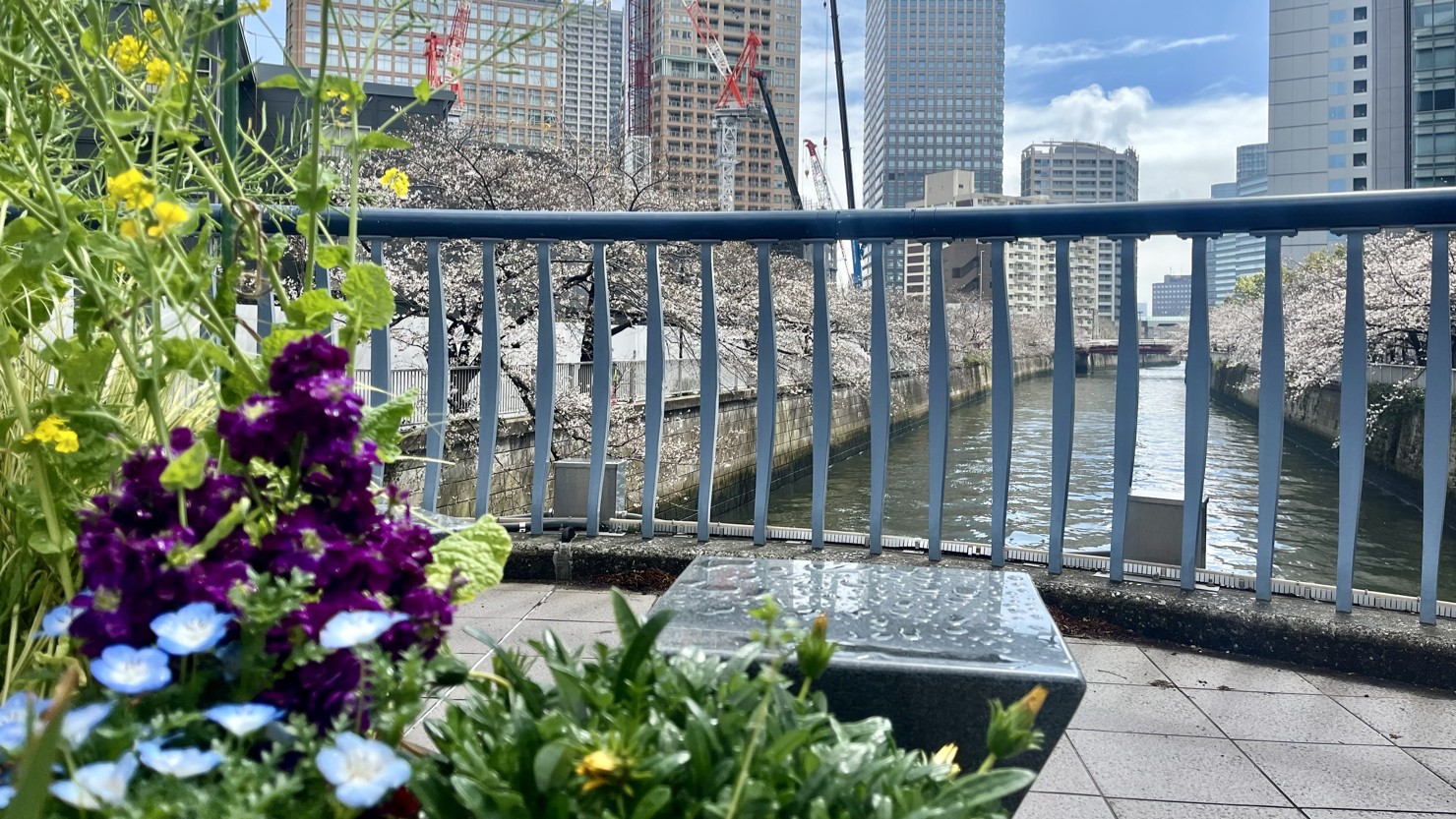 目黒川・山本橋(2025年3月撮影)