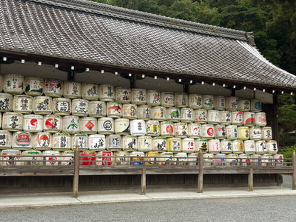 松尾大社に奉納された酒樽