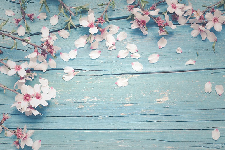 アパレルの春夏撮影、間に合っていますか？キャスト手配と「春の光」を演出するプロの現場術の物撮り