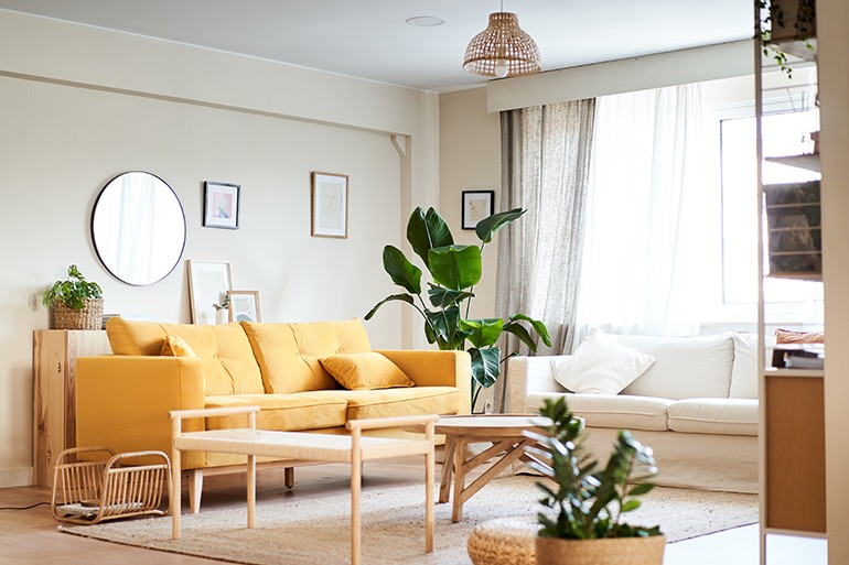 令和の新社会人が選ぶ「ベストバイ」アイテムの法則｜失敗しない注目ポイントと視覚戦略の物撮り