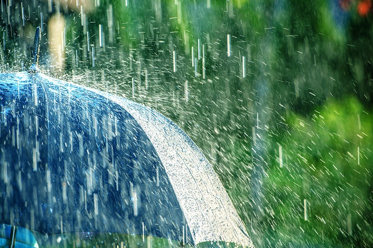 【保存版】2025年梅雨対策グッズ決定版！買うべきおすすめアイテムをプロが厳選の物撮り