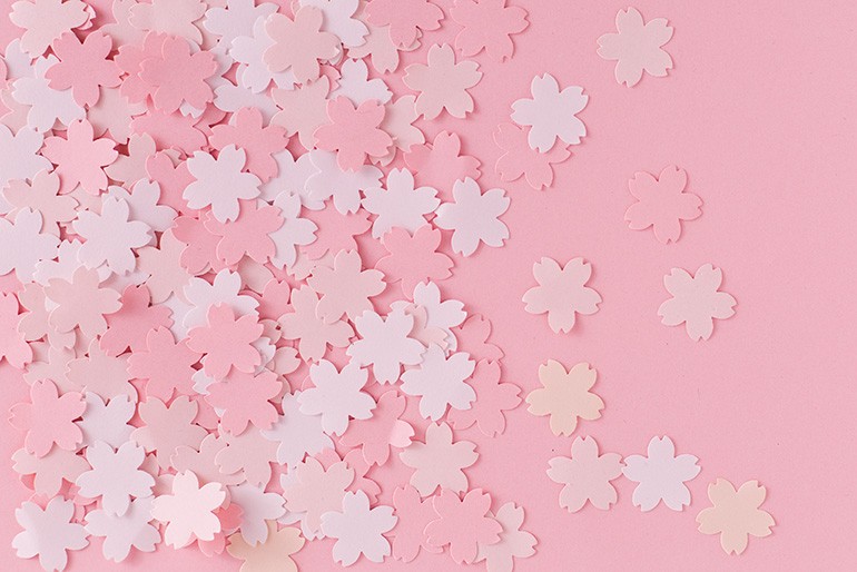 春夏特有の「透け感(シアー)」を美しく撮るライティング術