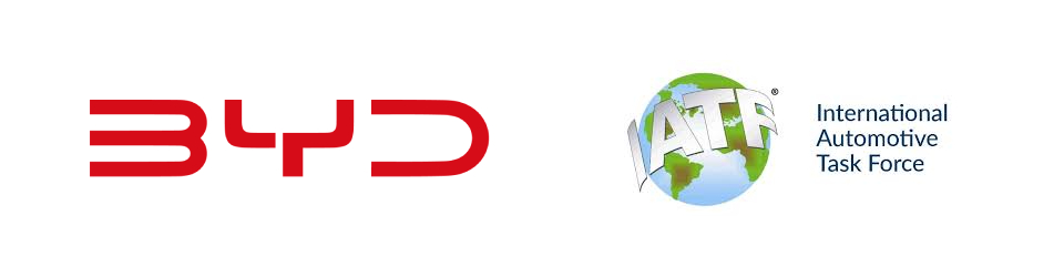 BYD International Automotive Task Force